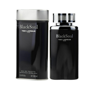 BLACK SOUL 100 ML (TED LAPIDUS)