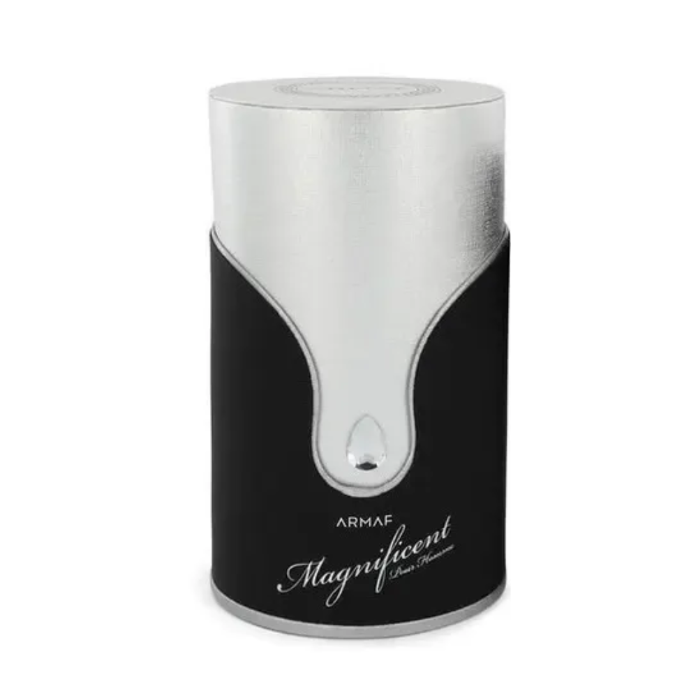 MAGNIFICENT POUR HOMME 100 ML - Imagen 2