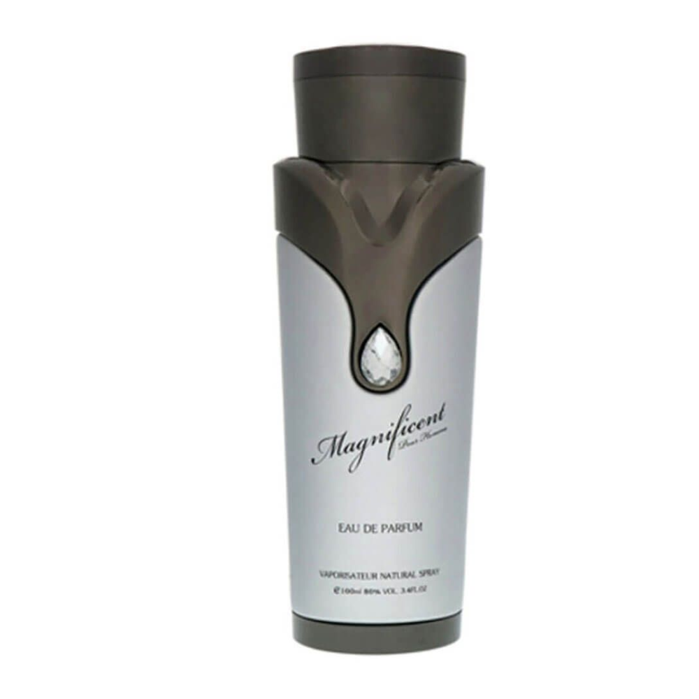 MAGNIFICENT POUR HOMME 100 ML - Imagen 3