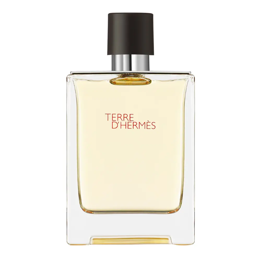 TERRE D' HERMES EAU DE TOILETTE 200 ML (HERMES) - Imagen 2